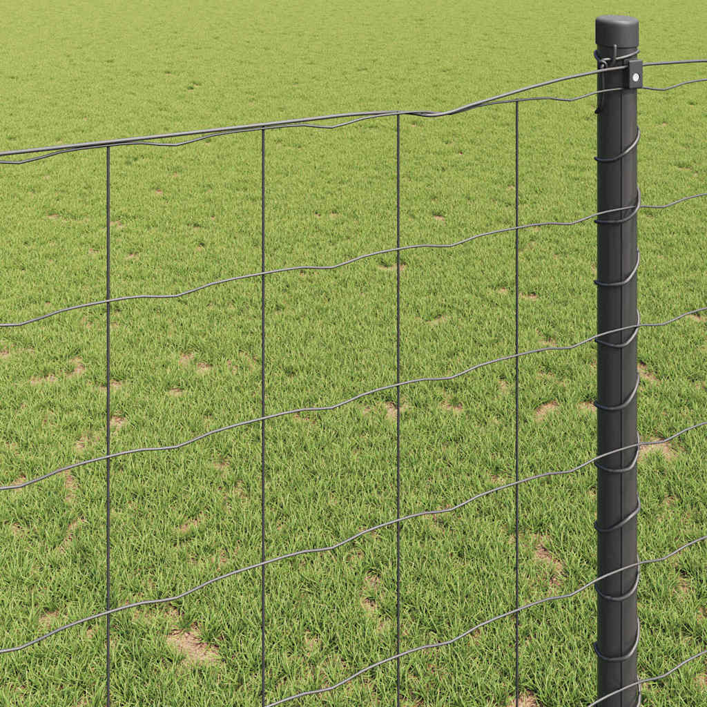 vidaXL Ogrodzenie Euro Szary 0,4 x 50 m Żelazo pokryte PVC