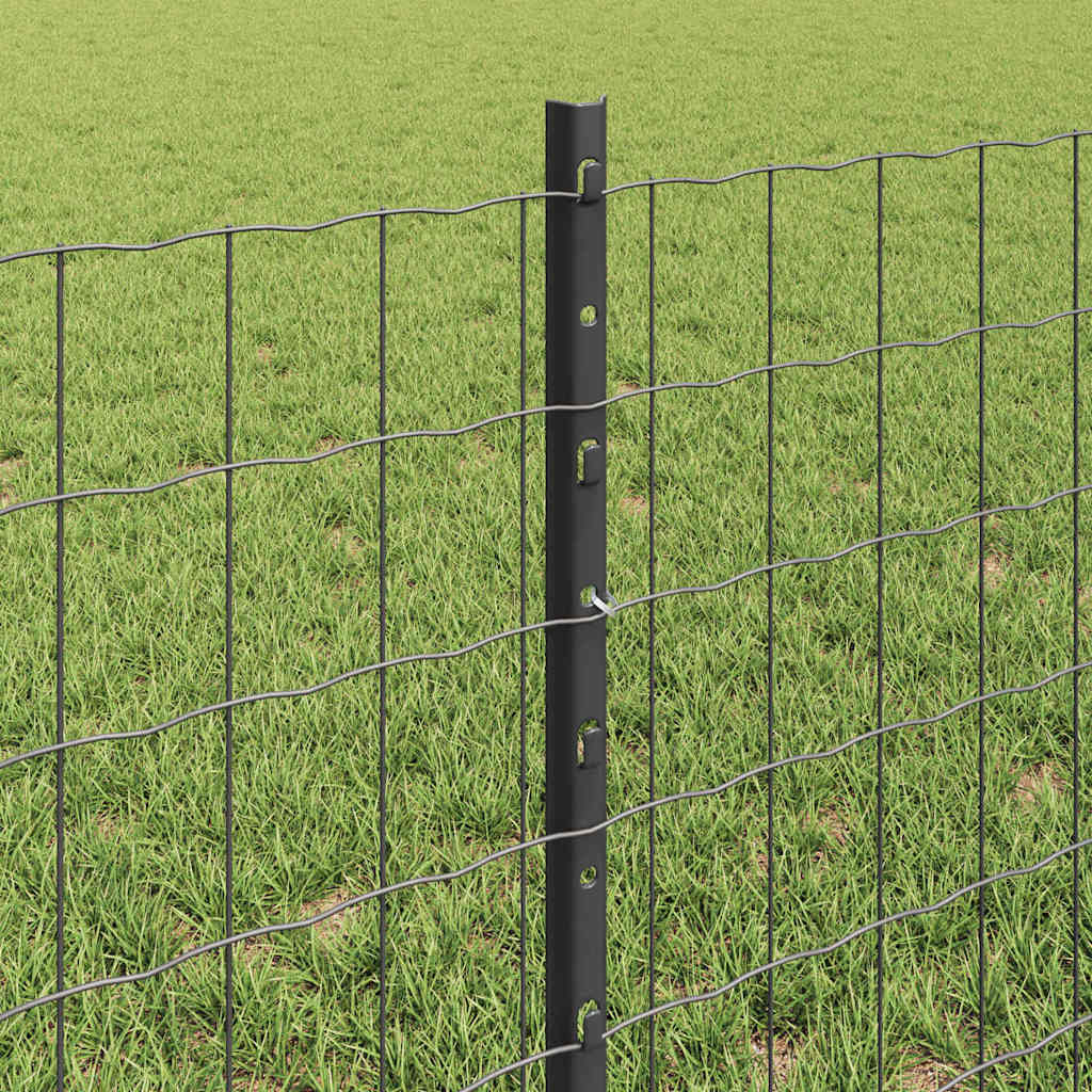 vidaXL Ogrodzenie Euro z słupkiem 10 x 0,6 m Stal pokryta PVC Szary