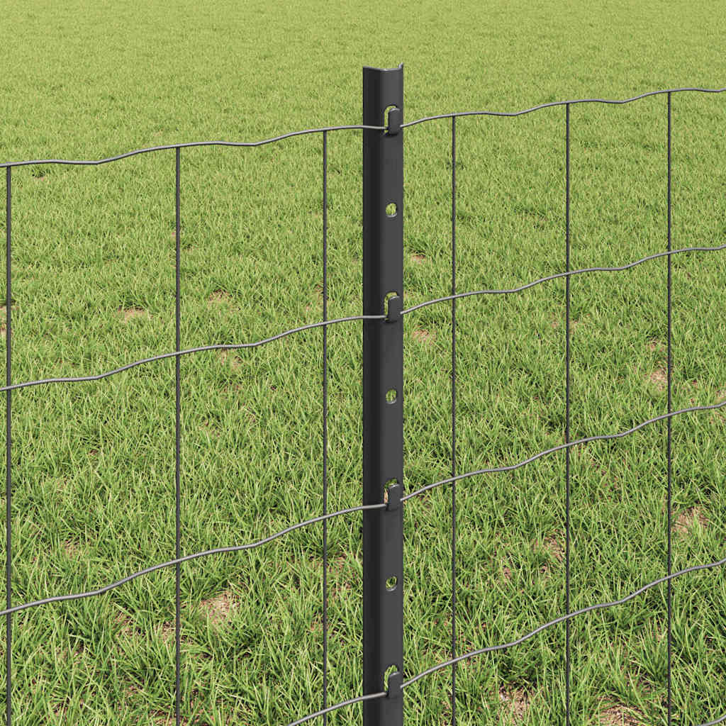 vidaXL Ogrodzenie Euro z słupkiem 10 x 0,6 m Stal pokryta PVC Szary