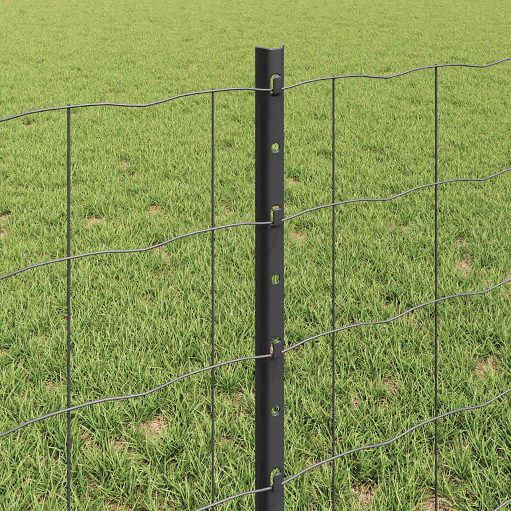 vidaXL Ogrodzenie Euro z słupkiem 10 x 0,6 m Stal pokryta PVC Szary