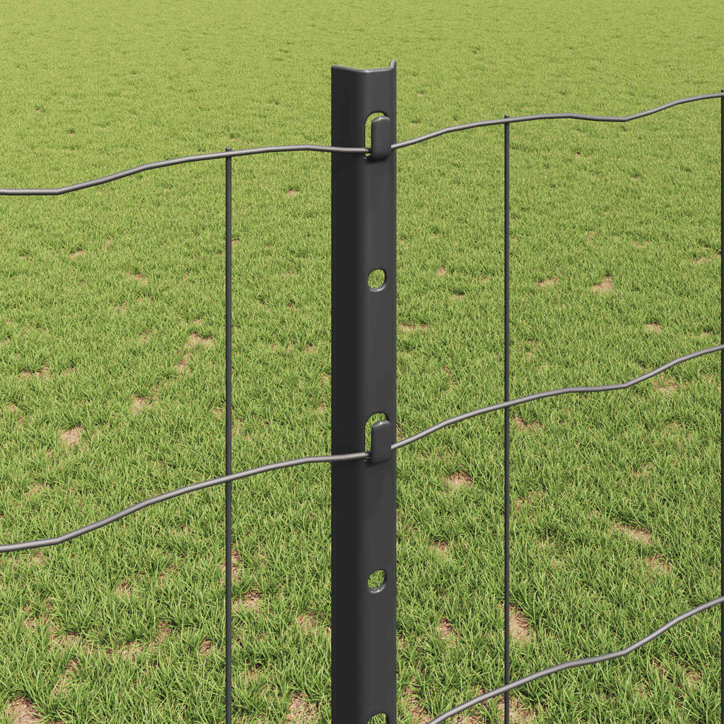 vidaXL Ogrodzenie Euro z słupkiem 10 x 1,2 m Stal pokryta PVC Szary