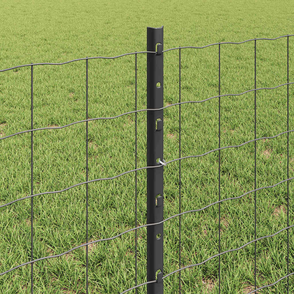 vidaXL Ogrodzenie Euro z słupkiem 10 x 0,6 m Stal pokryta PVC Szary