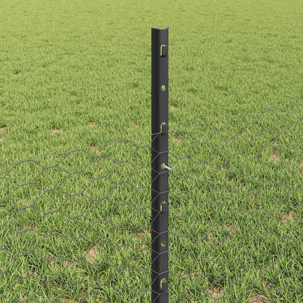 vidaXL Sześciokątne ogrodzenie z słupkiem 10 x 0,5 m Stal pokryta PVC