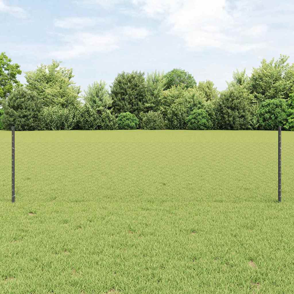 vidaXL Sześciokątne ogrodzenie z słupkiem 10 x 0,5 m Stal pokryta PVC