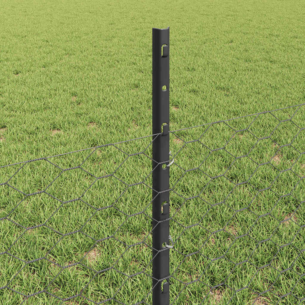 vidaXL Sześciokątne ogrodzenie z słupkiem 10 x 0,5 m Stal pokryta PVC