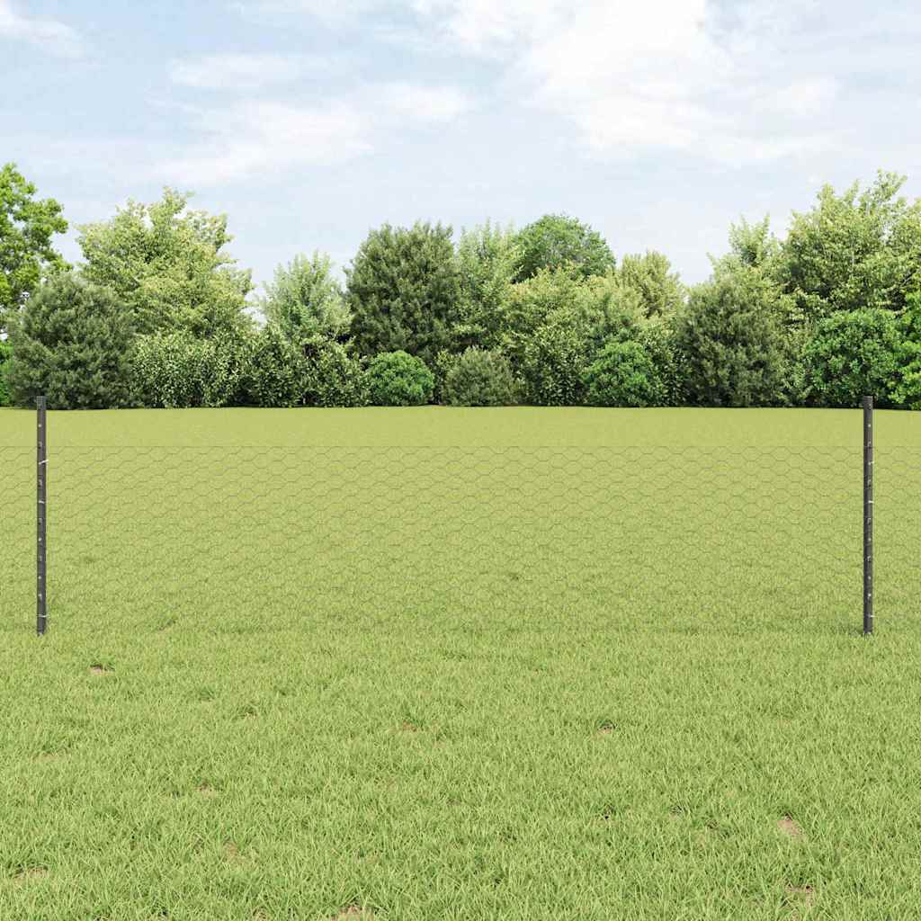vidaXL Sześciokątne ogrodzenie z słupkiem 10 x 0,5 m Stal pokryta PVC