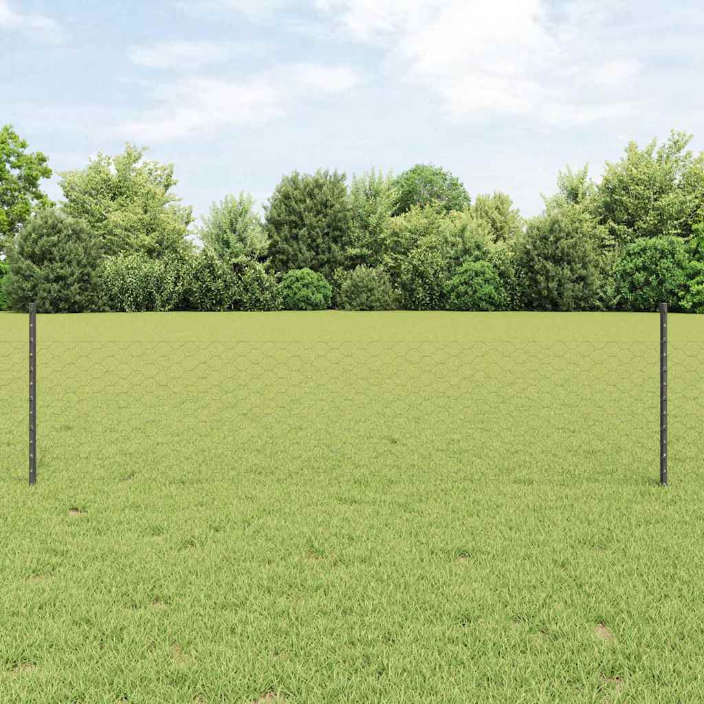 vidaXL Sześciokątne ogrodzenie z słupkiem 10 x 0,5 m Stal pokryta PVC