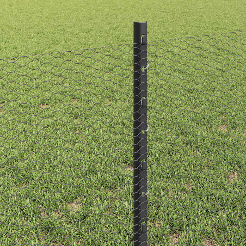 vidaXL Sześciokątne ogrodzenie z słupkiem 10 x 0,6 m Stal pokryta PVC