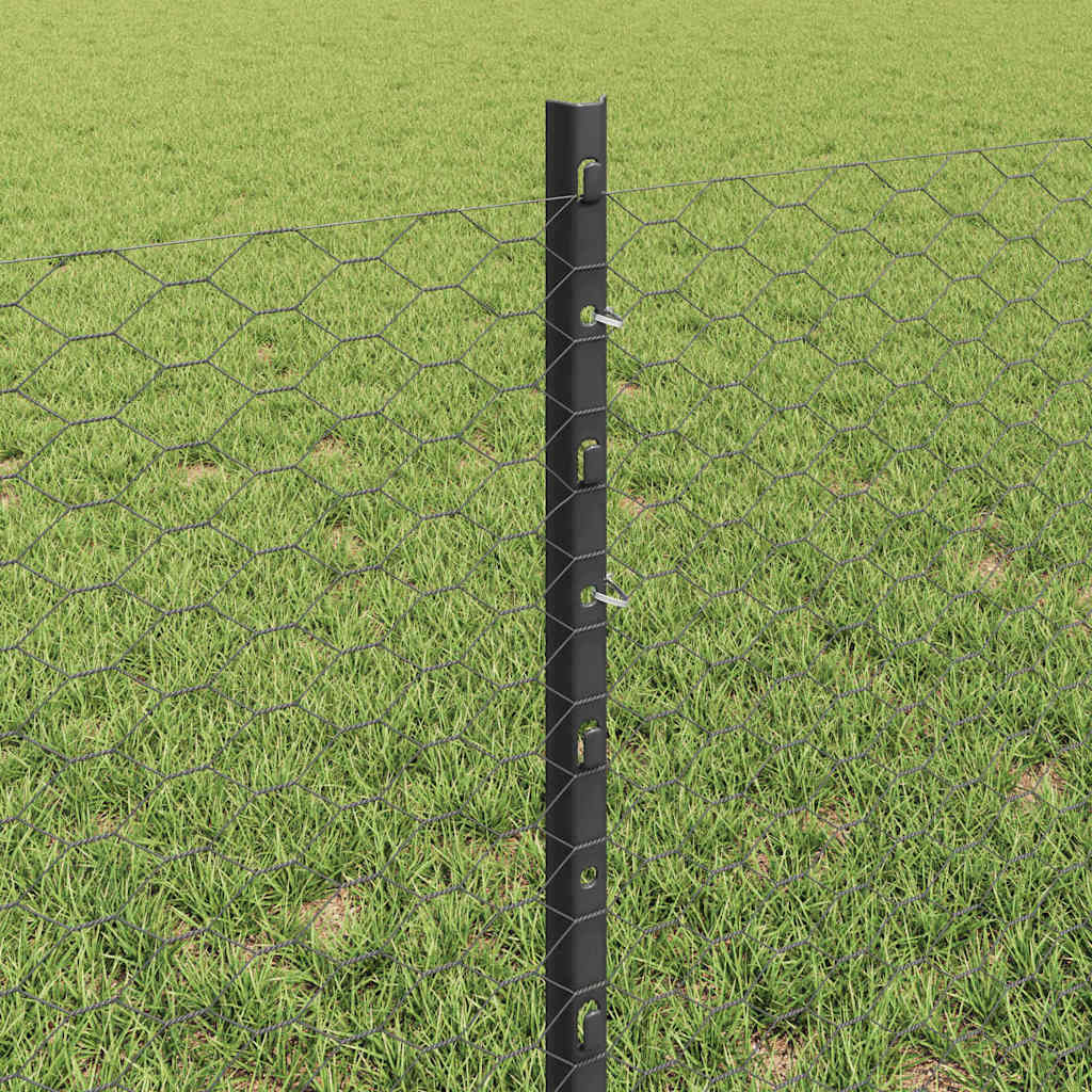 vidaXL Sześciokątne ogrodzenie z słupkiem 10 x 0,6 m Stal pokryta PVC