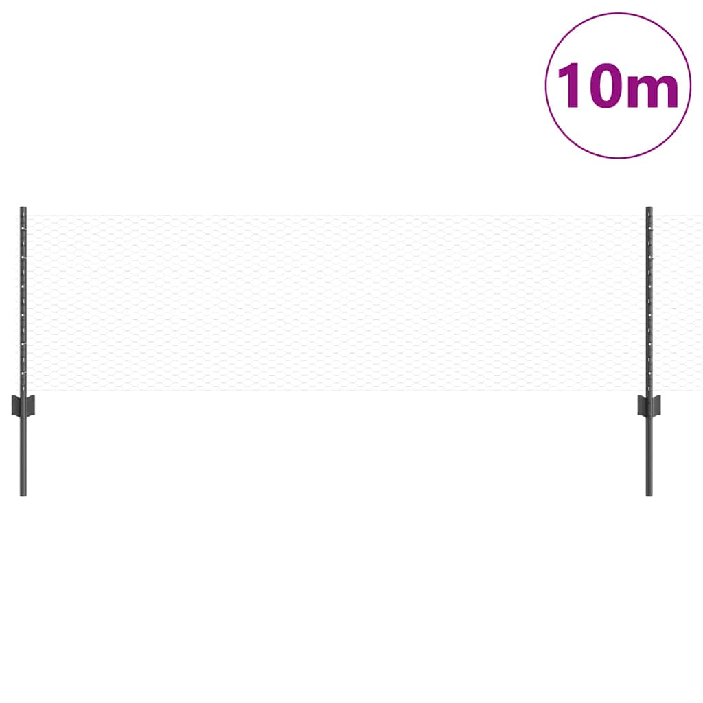 vidaXL Sześciokątne ogrodzenie z słupkiem 10 x 0,6 m Stal pokryta PVC