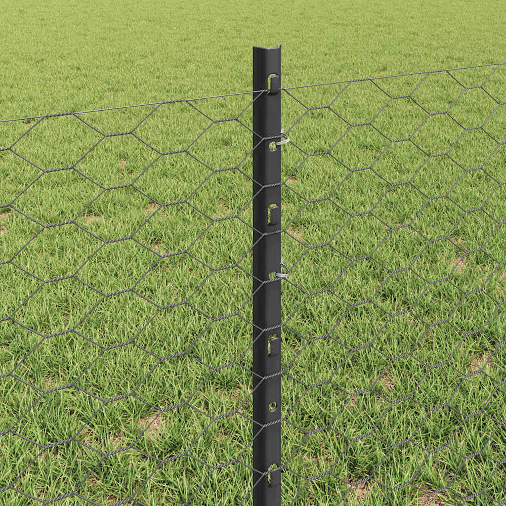 vidaXL Sześciokątne ogrodzenie z słupkiem 10 x 0,6 m Stal pokryta PVC