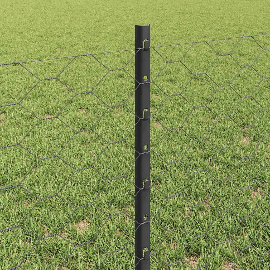 vidaXL Sześciokątne ogrodzenie z słupkiem 10 x 0,6 m Stal pokryta PVC