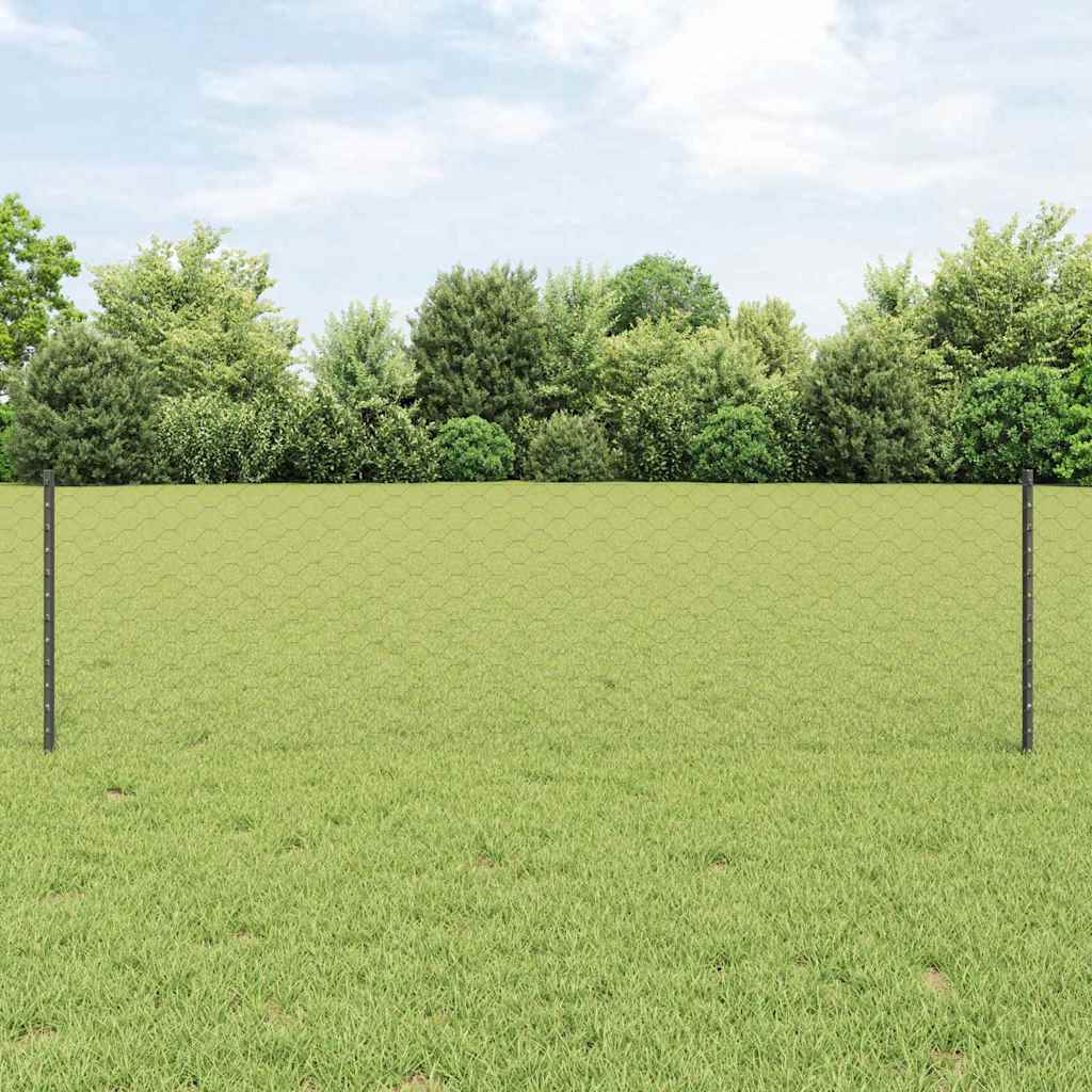 vidaXL Sześciokątne ogrodzenie z słupkiem 10 x 0,6 m Stal pokryta PVC
