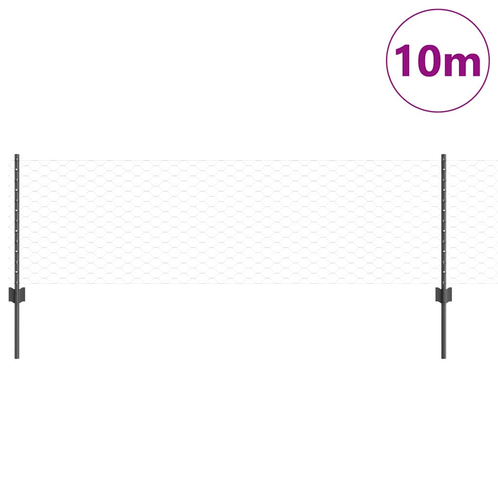 vidaXL Sześciokątne ogrodzenie z słupkiem 10 x 0,6 m Stal pokryta PVC