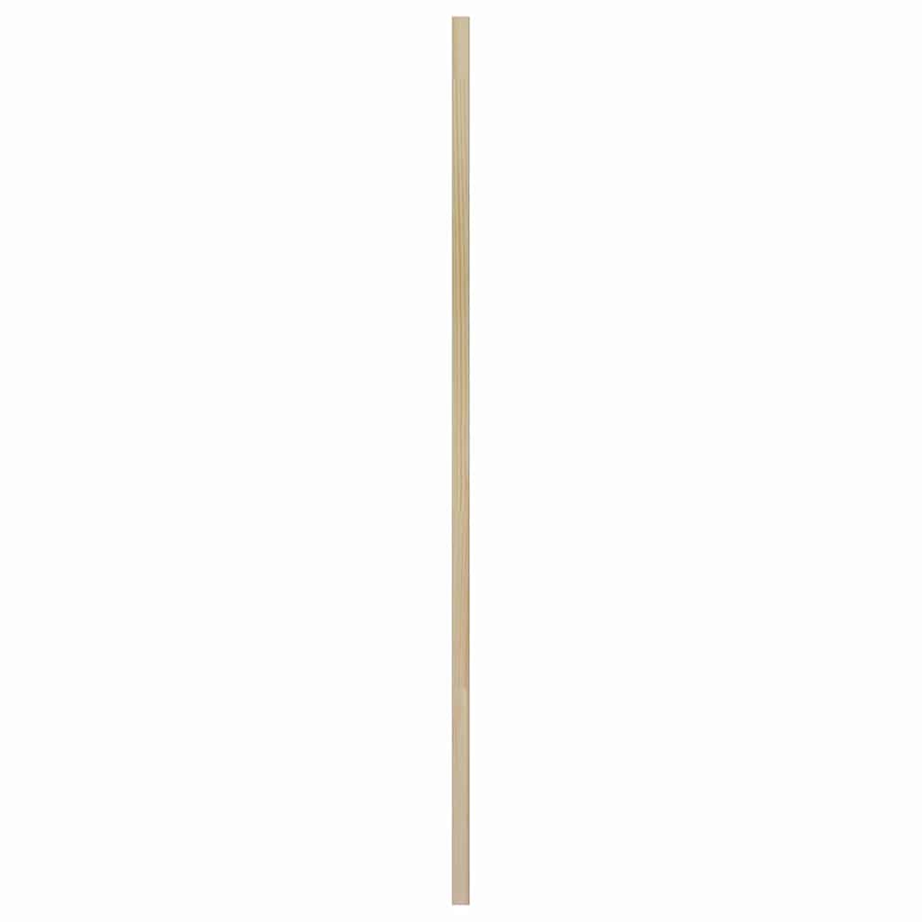 vidaXL Drzwi do szafki z drzwiami 2 pcs Naturalny 49,5 x 2,1 x 110 cm