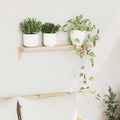 vidaXL Ścienny Stojak Wiszący Naturalny 62 x 10 x 12,5 cm Lity Bukowy
