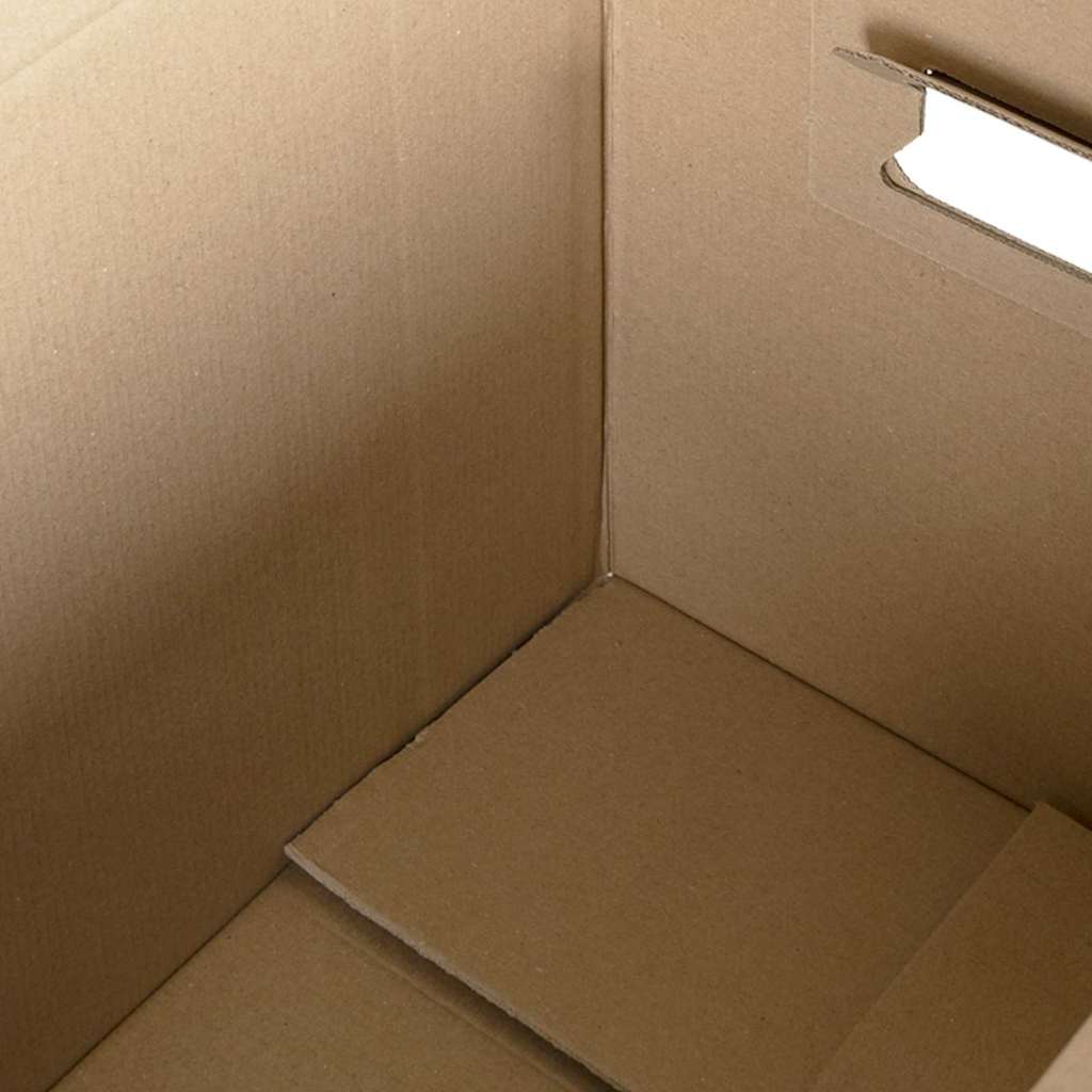 vidaXL Skrzynka przeprowadzka 20 pcs Naturalny 59 x 31,5 x 31,5 cm