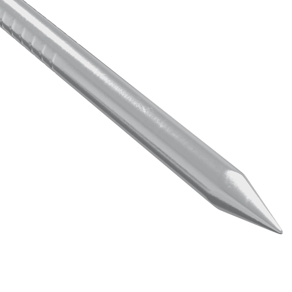 vidaXL Gwoździe do drewna 2 pcs Srebrny Ø 3 x 15 mm Metal