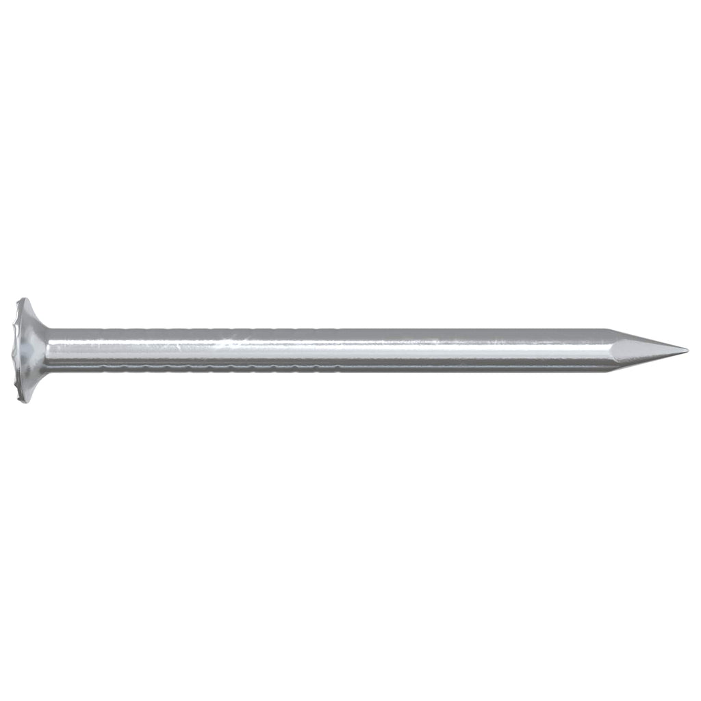 vidaXL Gwoździe do drewna 2 pcs Srebrny Ø 3 x 15 mm Metal