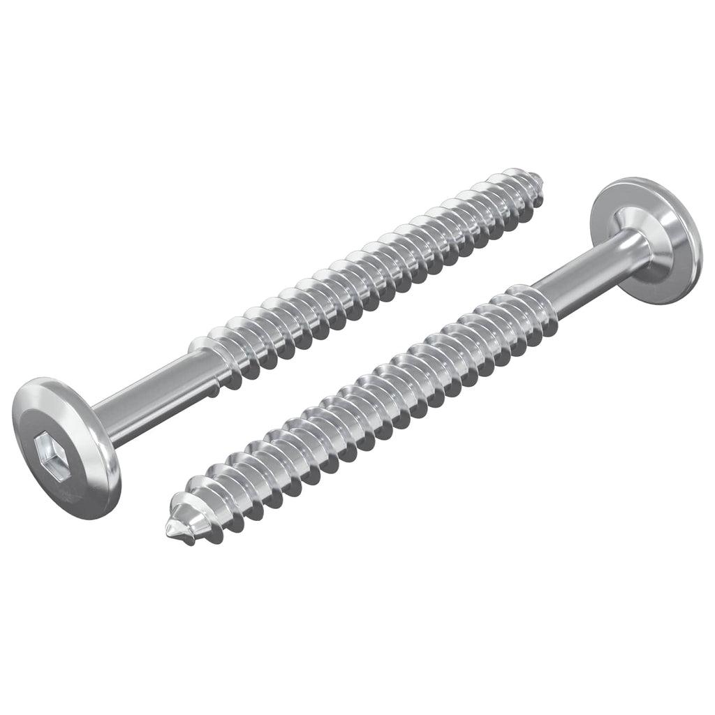 vidaXL Wkręty Drewniane 2 pcs Srebrny M6 x 70 mm Stal