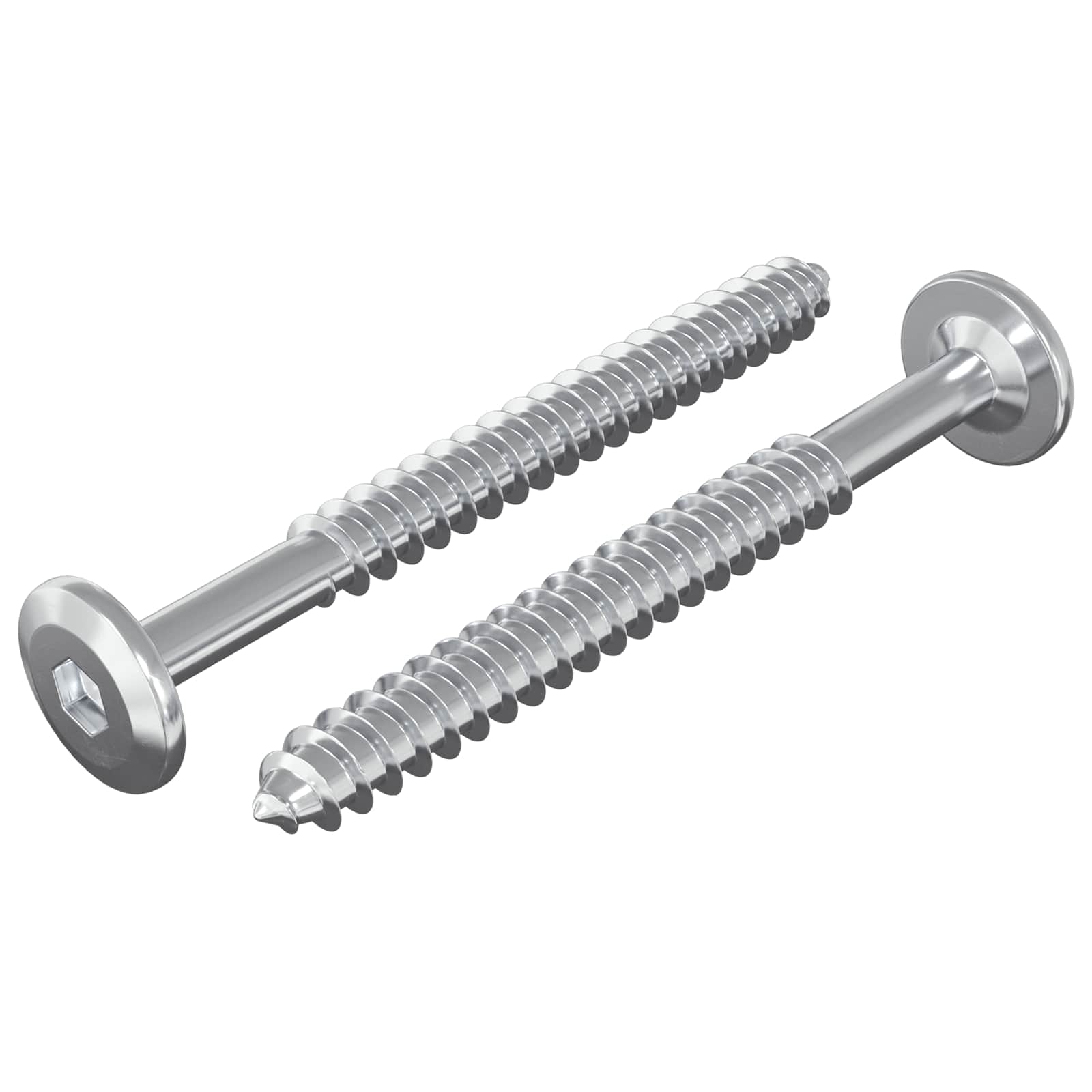 vidaXL Wkręty Drewniane 2 pcs Srebrny M6 x 70 mm Stal