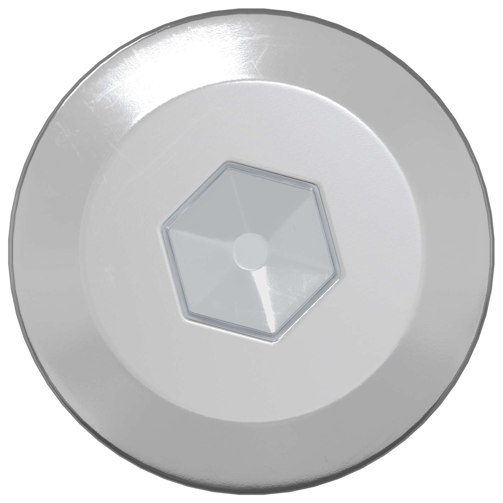 vidaXL Wkręty Drewniane 2 pcs Srebrny M6 x 70 mm Stal