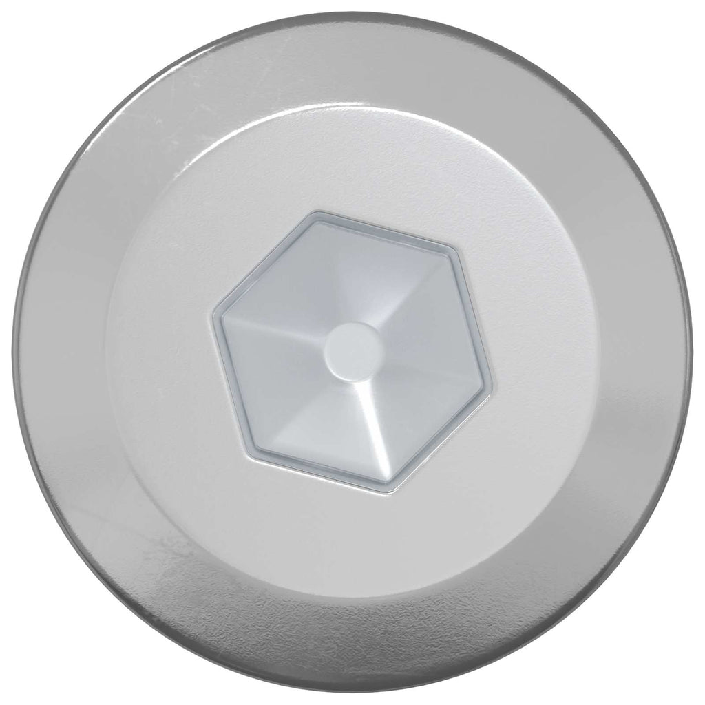 vidaXL Wkręty Drewniane 2 pcs Srebrny M6 x 70 mm Stal