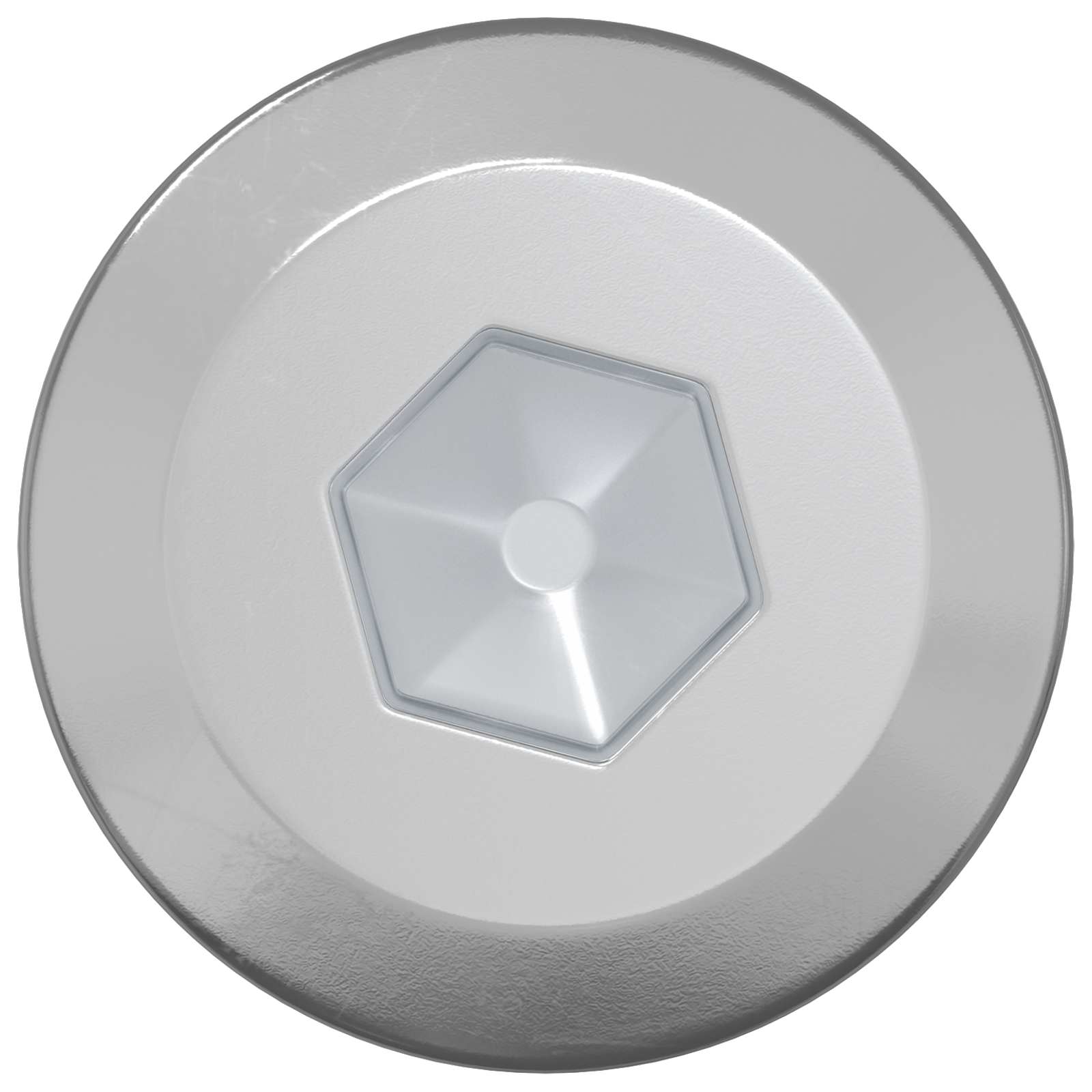 vidaXL Wkręty Drewniane 2 pcs Srebrny M6 x 70 mm Stal