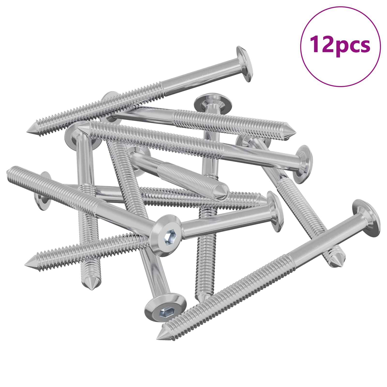 vidaXL Śruby meblowe 12 pcs Srebrny M6 x 70 mm Stal
