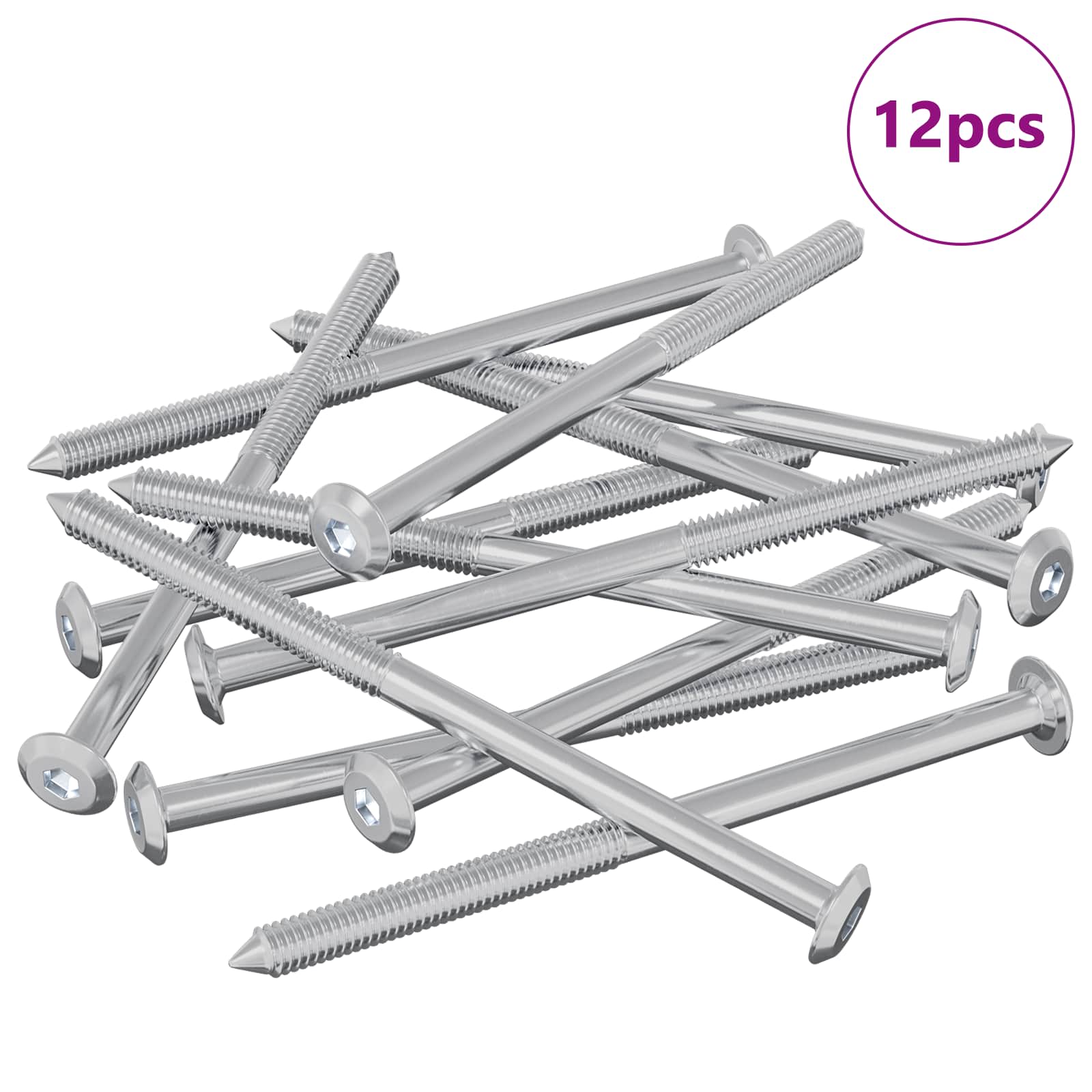 vidaXL Śruby meblowe 12 pcs Srebrny M6 x 100 mm Stal