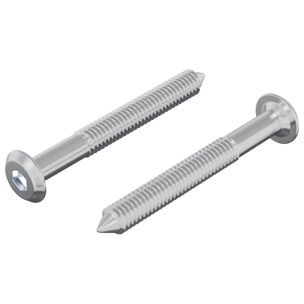 vidaXL Śruba 2 pcs Srebrny M6 x 50 mm Stal