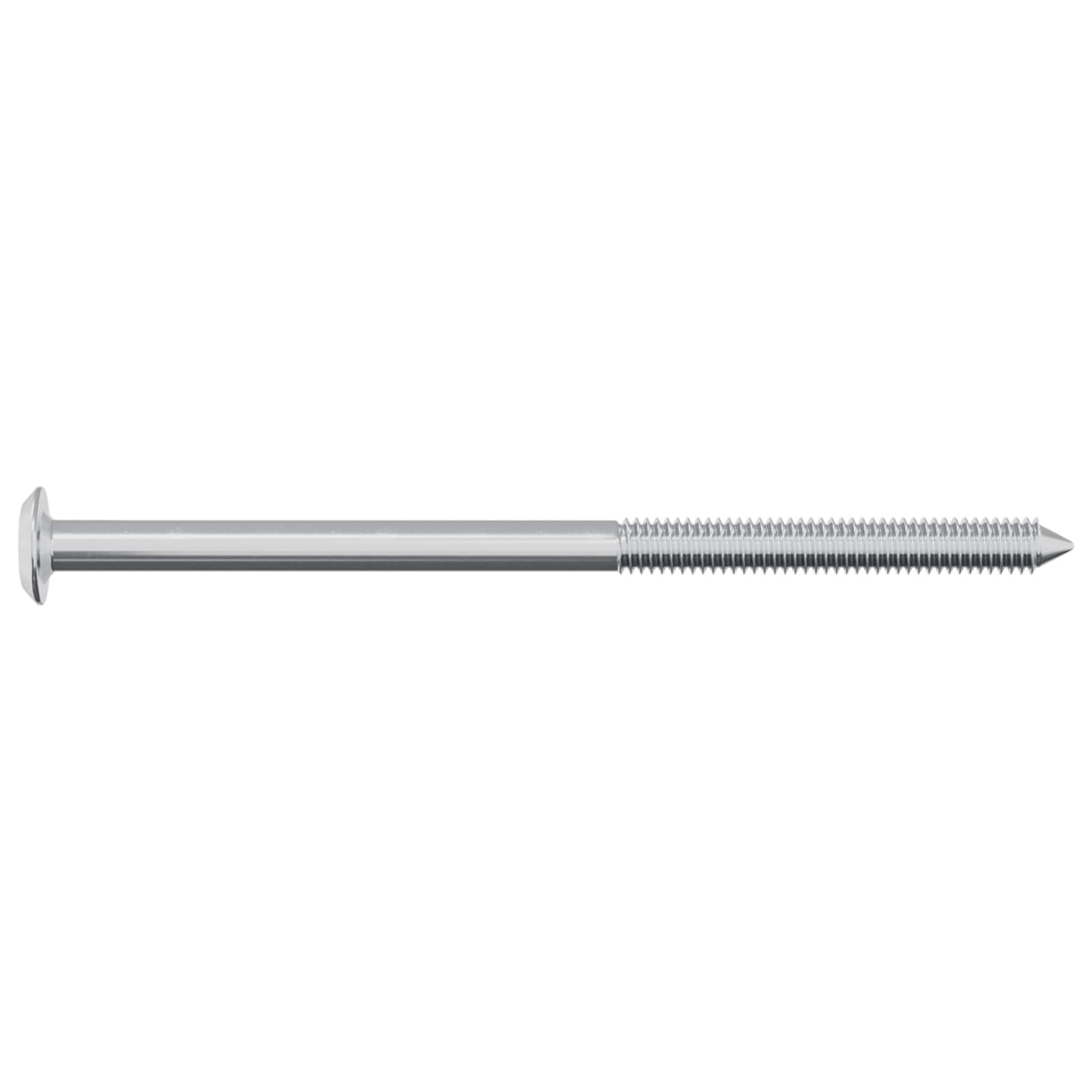 vidaXL Śruba 12 pcs Srebrny M6 x 100 mm Stal