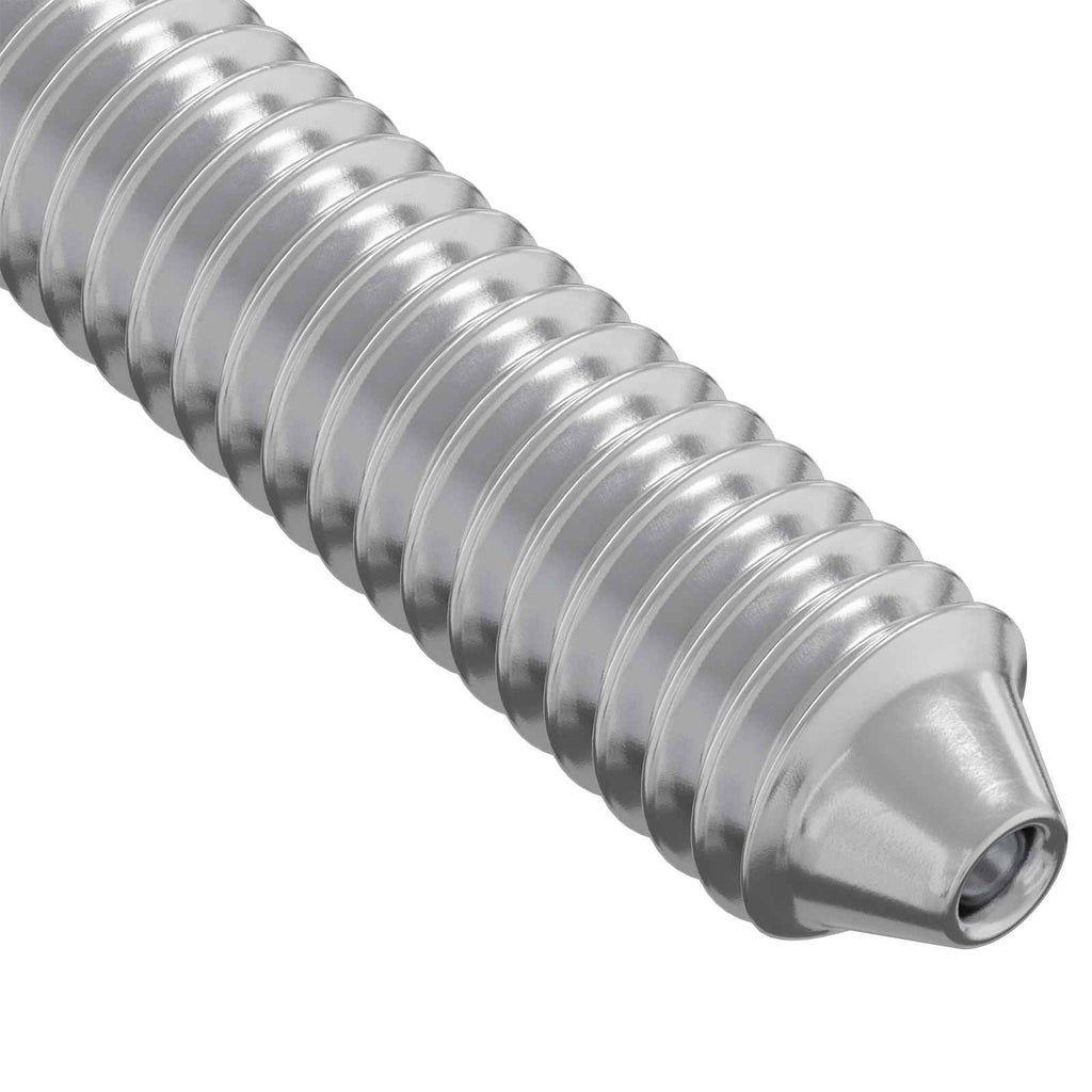 vidaXL Śruba 2 pcs Srebrny M6 x 120 mm Stal