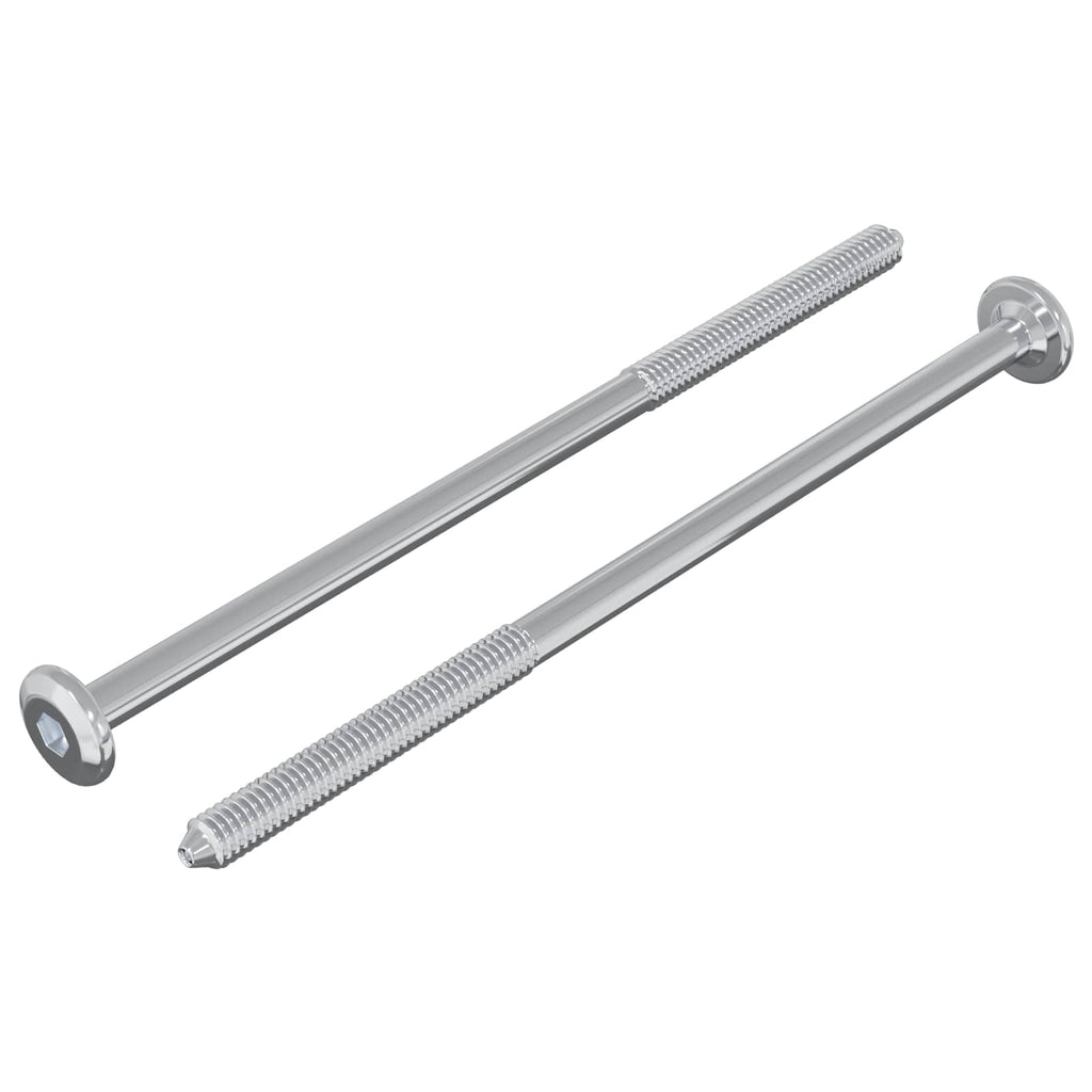 vidaXL Śruba 2 pcs Srebrny M6 x 120 mm Stal