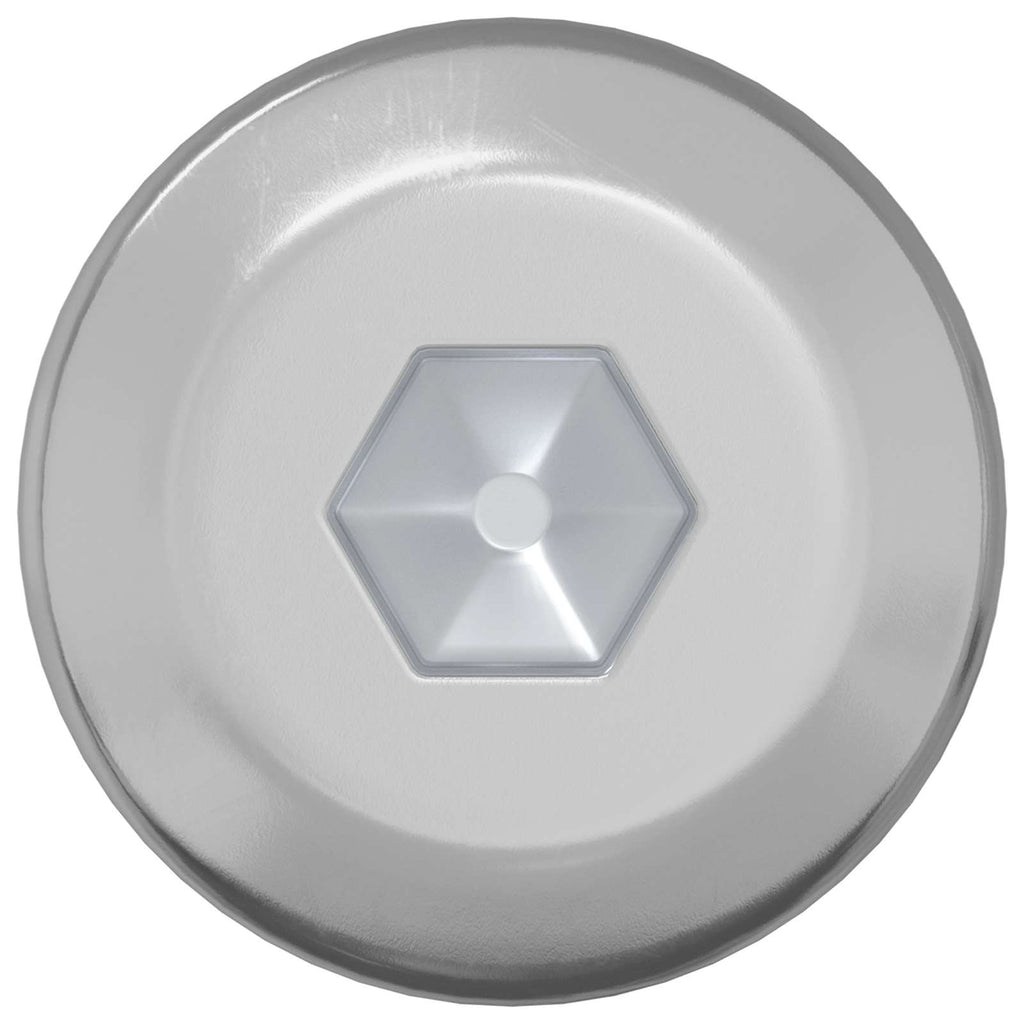 vidaXL Śruba 2 pcs Srebrny M6 x 120 mm Stal
