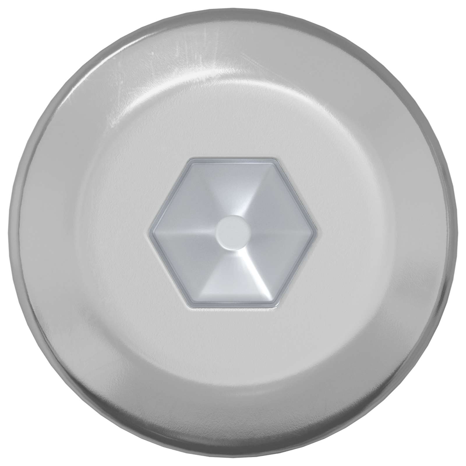 vidaXL Śruba 2 pcs Srebrny M6 x 120 mm Stal