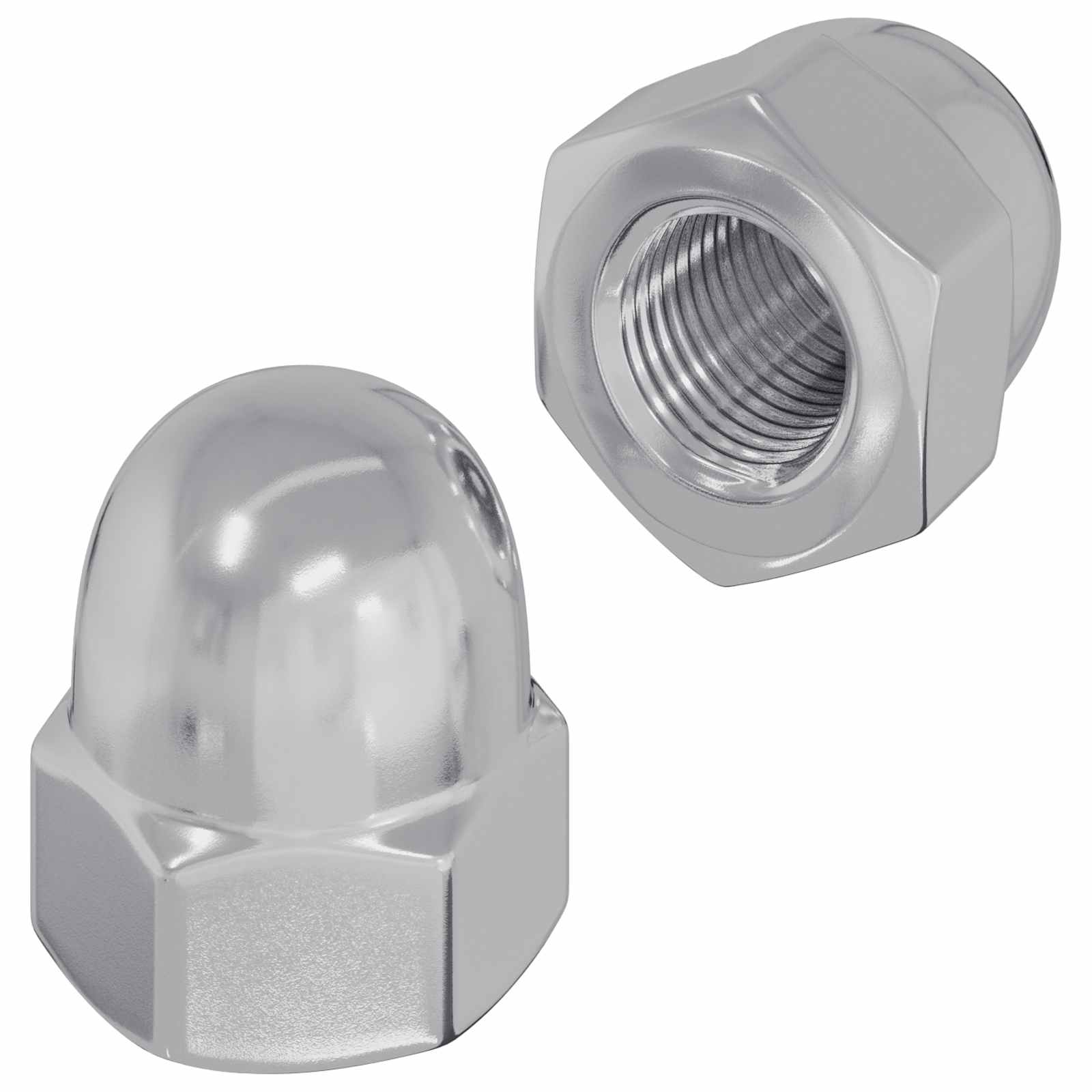 vidaXL Hex Orzechy żołędziowe 2 pcs Srebrny m8 Metal