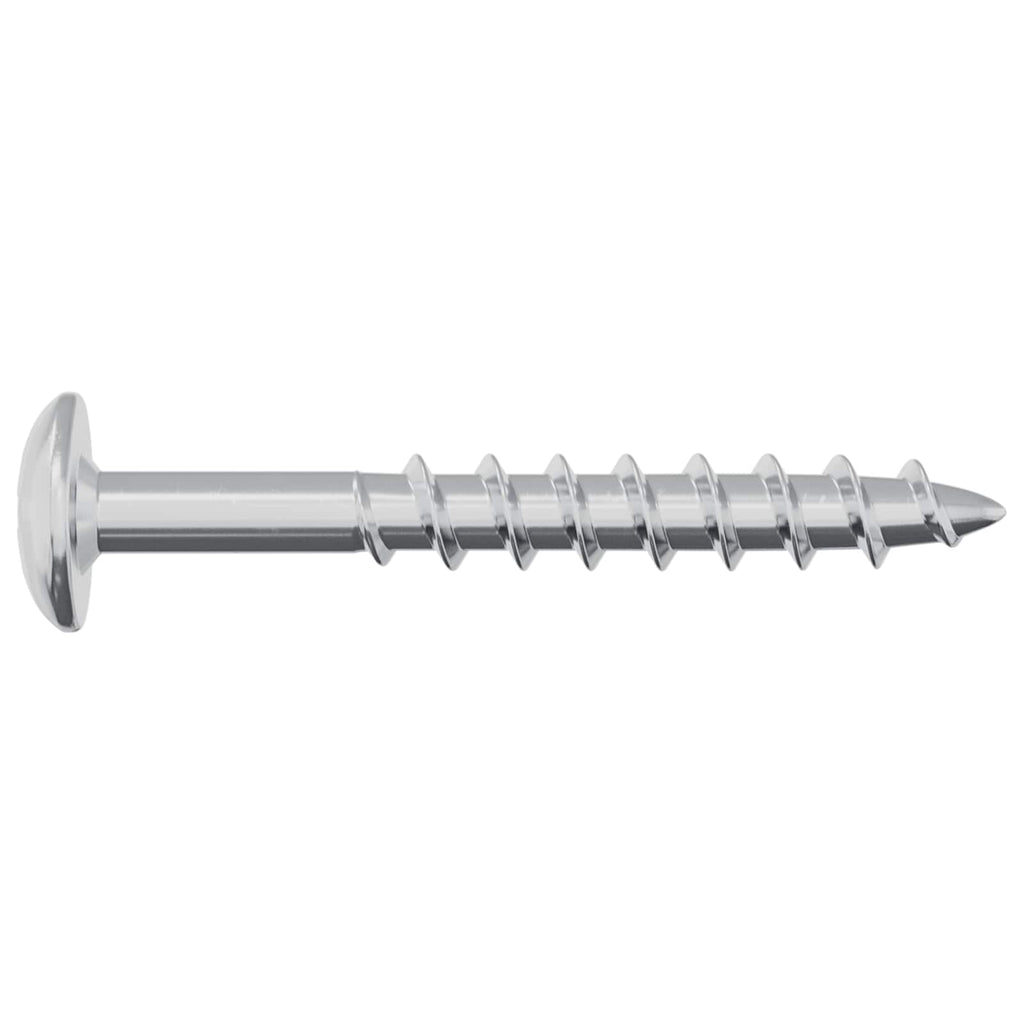 vidaXL Śruba 2 pcs Srebrny 9,8 x 35 mm Żelazo