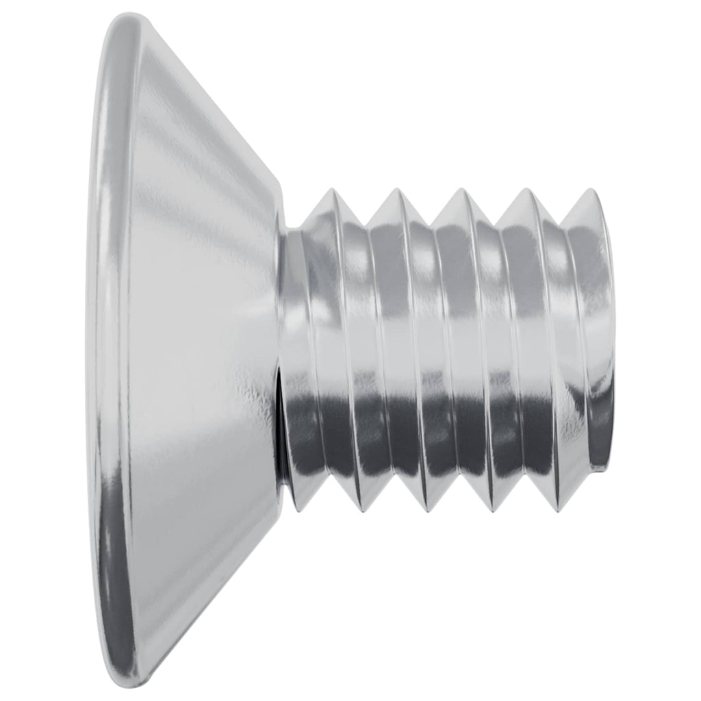 vidaXL Śruby z wpuszczonym łbem 2 pcs Srebrny M4 x 6 mm Stal