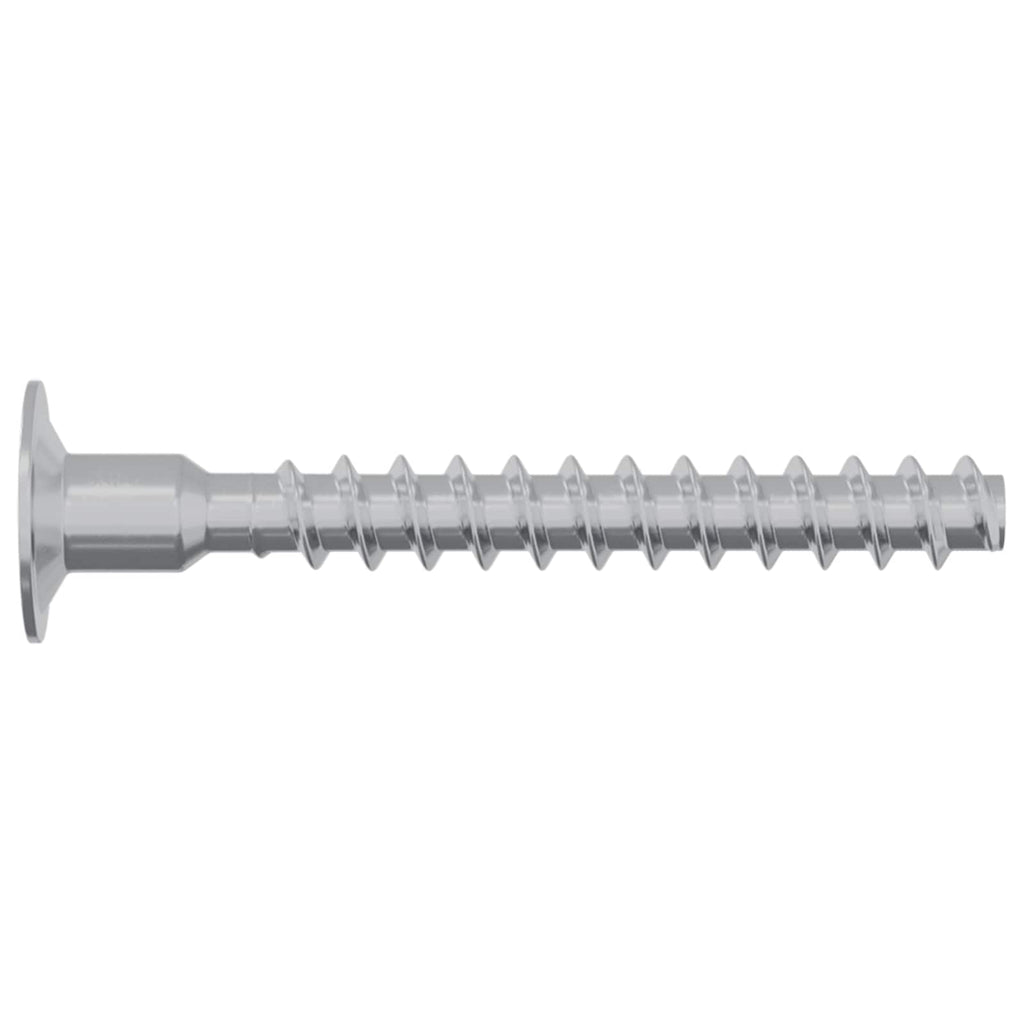 vidaXL Śruba 2 pcs Powlekana cynkiem 5 x 40 mm Żelazo