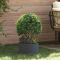 vidaXL Pierścień doniczki Antracyt 30 x 30 x 20 cm Stal zimnogięta