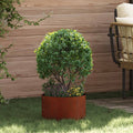 vidaXL Pierścień doniczki 5 pcs Brązowy 30 x 30 x 20 cm