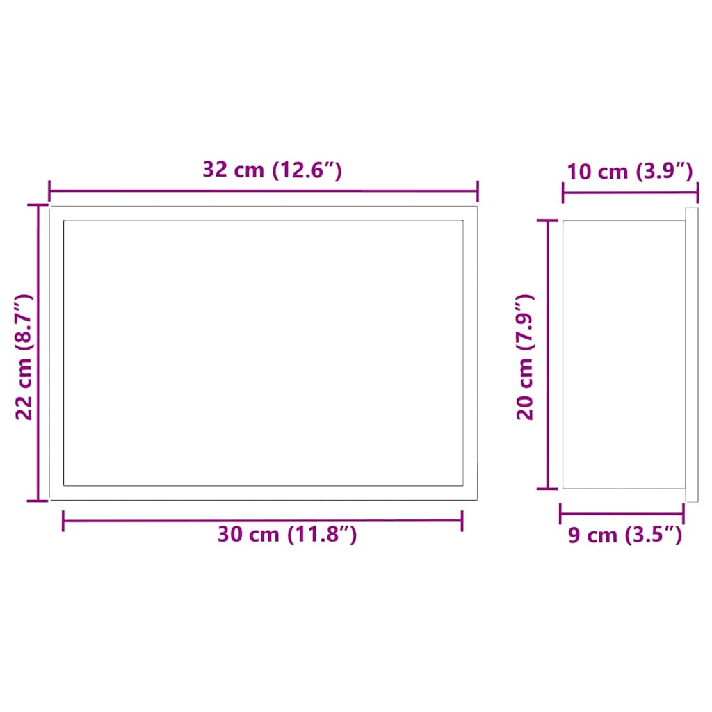 vidaXL Nisza prysznicowa Biały 30 x 20 x 9,5 cm Stal nierdzewna