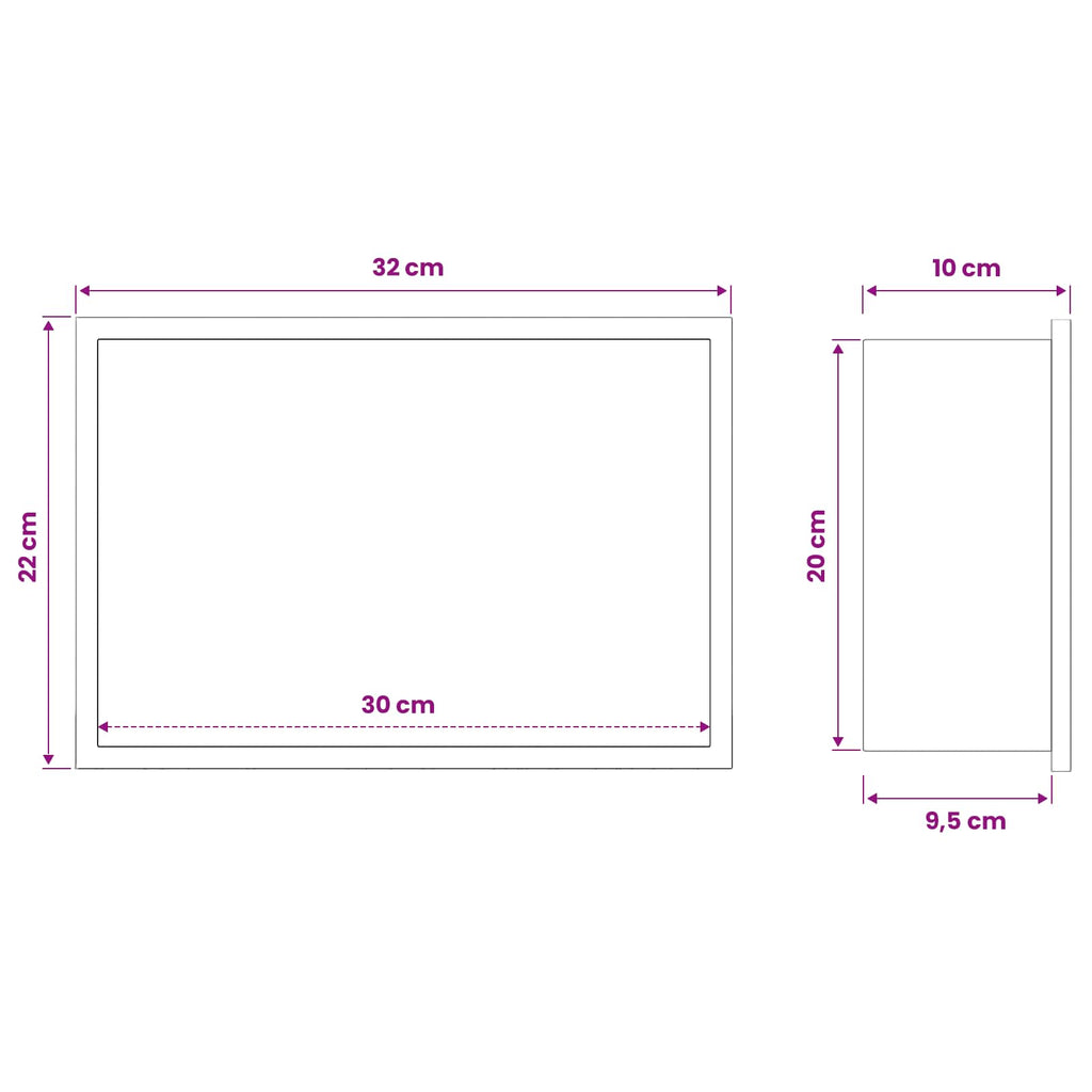 vidaXL Nisza prysznicowa srebrny 30 x 20 x 9,5 cm Stal nierdzewna