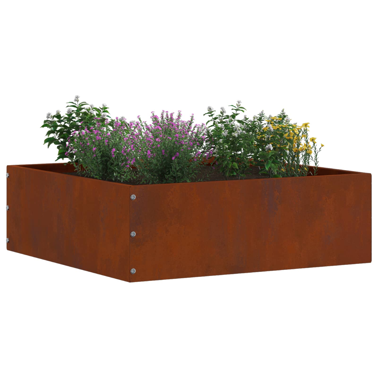 vidaXL Krawężnik do trawnika 6 pcs Rdzawy 40 x 40 x 13 cm