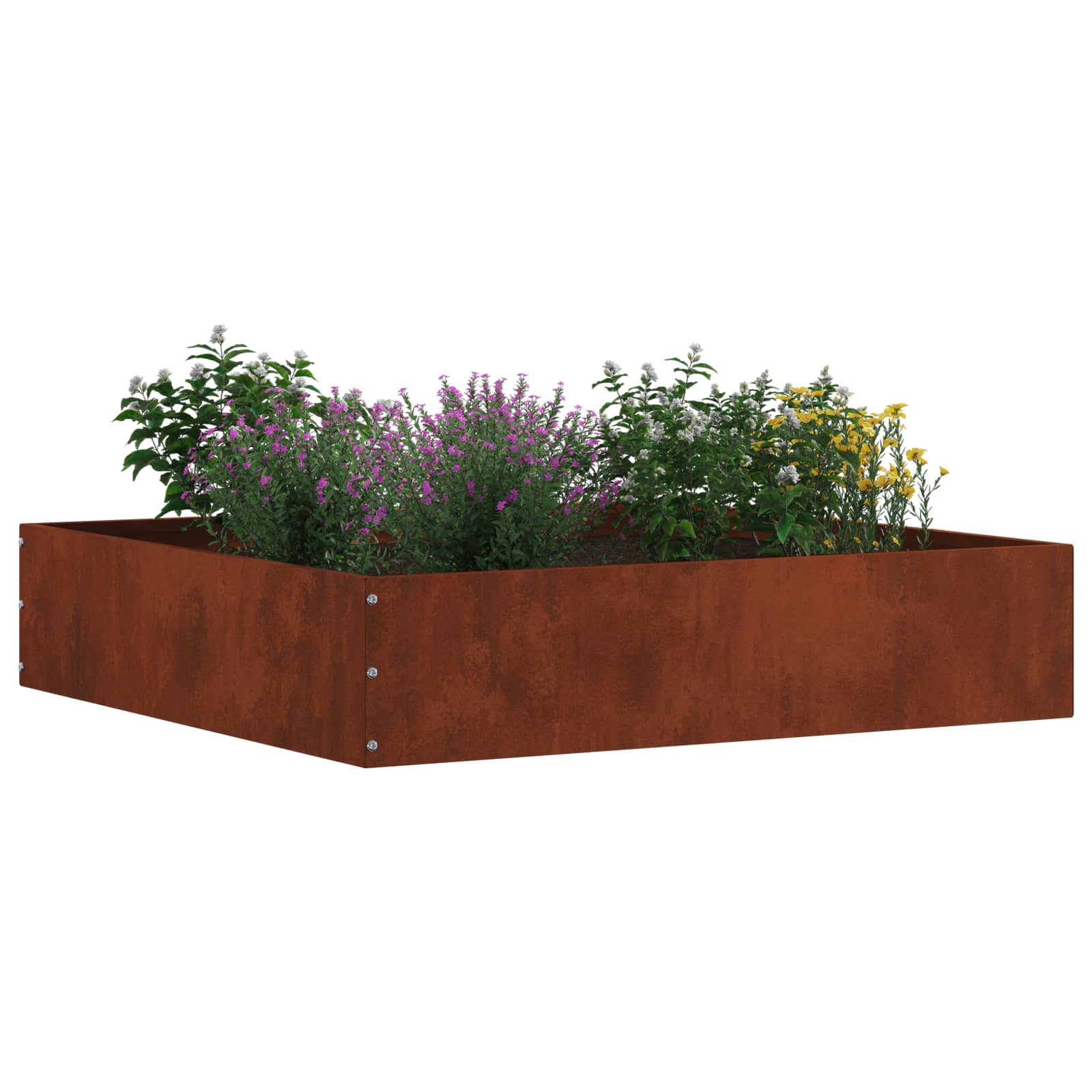 vidaXL Krawężnik do trawnika Rdzawy 60 x 60 x 13 cm
