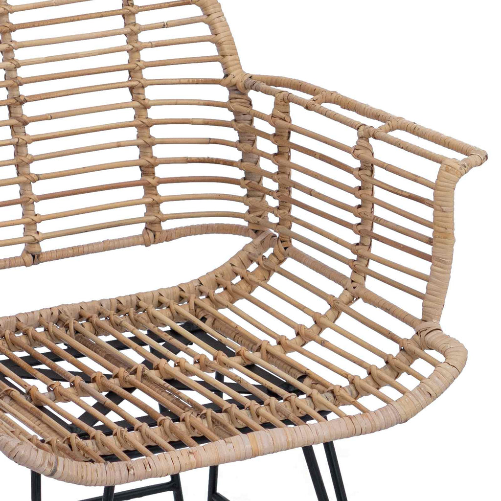 vidaXL Krzesło jadalniane 2 pcs Rattan i żelazo Naturalny