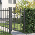 vidaXL Brama ogrodzeniowa z kolcami EMMEN 200 x 100 cm