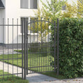 vidaXL Brama ogrodzeniowa z kolcami EMMEN 200 x 100 cm