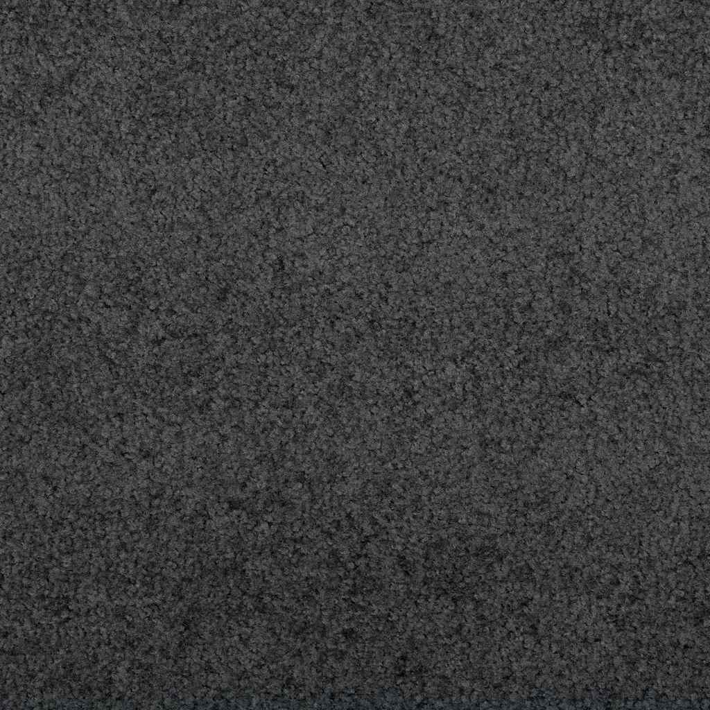 vidaXL Dywanik drzwiowy Antracyt 60 x 40 x 1.2 cm Tkanina Teddy
